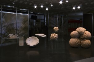 Barbara De Ponti, Clay Time Code, Museo Civico di Scienze Naturali Malmerendi, 2016-1, ph Maki Ochoa